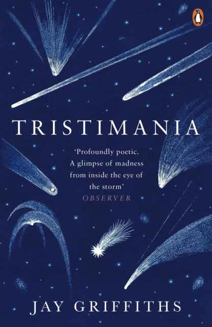Tristimania : A Diary of Manic Depression, EPUB eBook