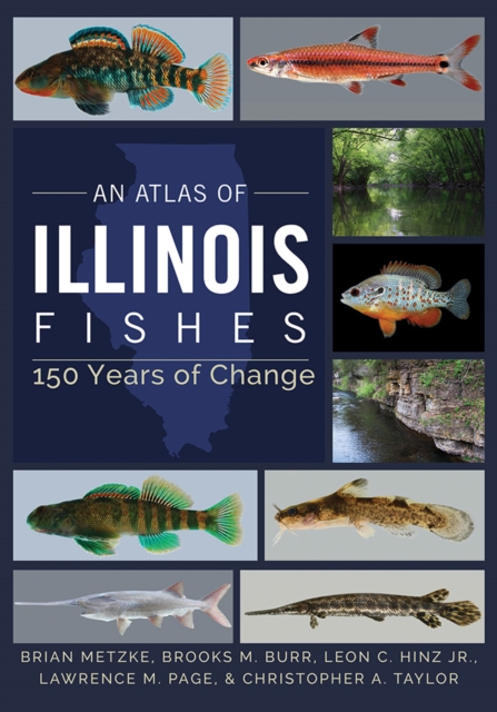 An Atlas of Illinois Fishes : 150 Years of Change, Hardback Book