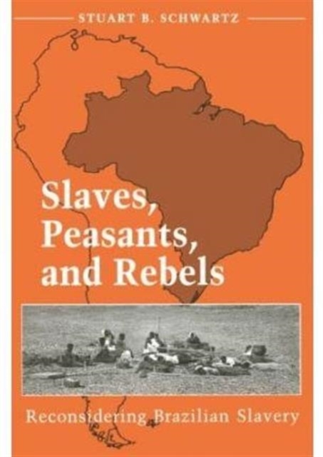 Slaves, Peasants, and Rebels : RECONSIDERING BRAZILIAN SLAVERY, Paperback / softback Book