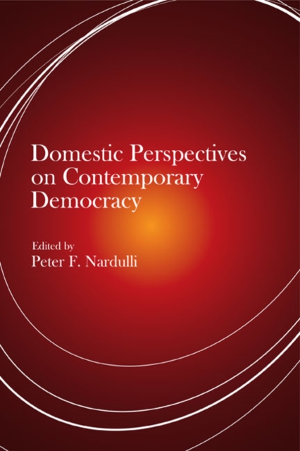 Domestic Perspectives on Contemporary Democracy, Paperback / softback Book