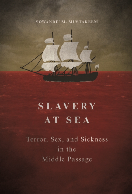 Slavery at Sea : Terror, Sex, and Sickness in the Middle Passage, Paperback / softback Book