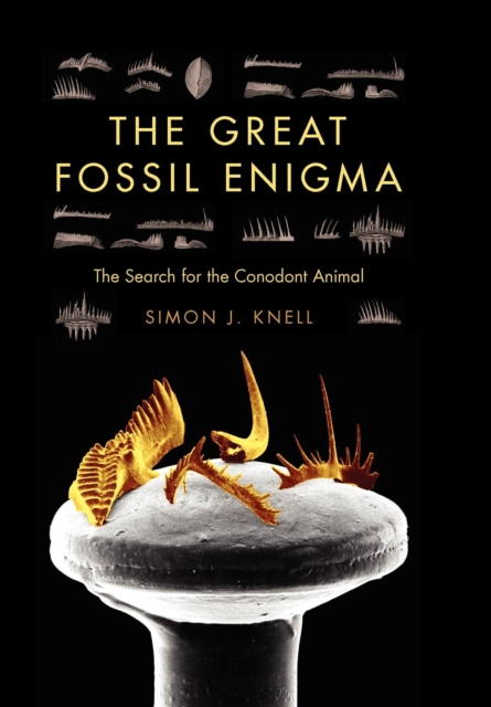 The Great Fossil Enigma : The Search for the Conodont Animal, Hardback Book