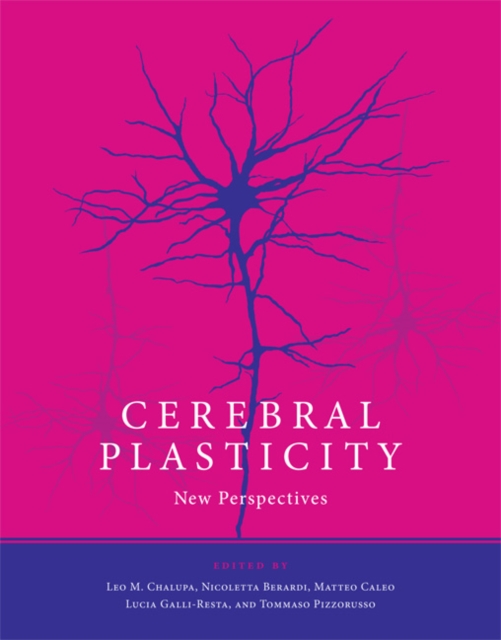 Cerebral Plasticity : New Perspectives, Hardback Book