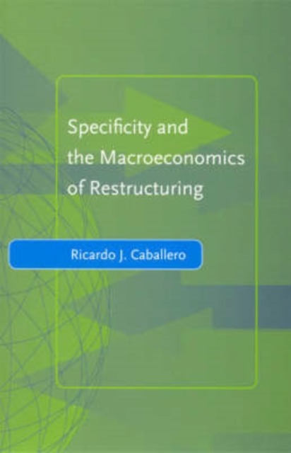 Specificity and the Macroeconomics of Restructuring, Hardback Book