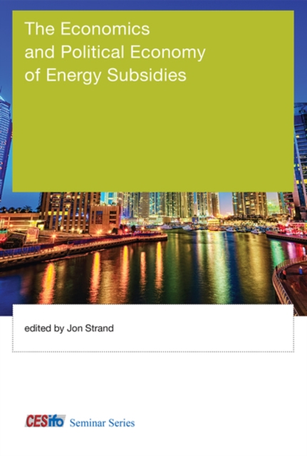 The Economics and Political Economy of Energy Subsidies, Hardback Book