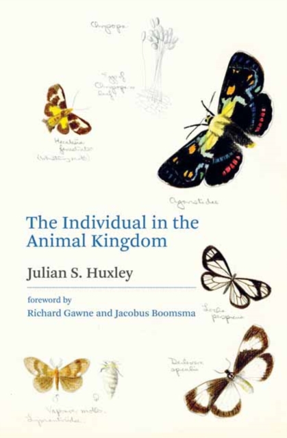 The Individual in the Animal Kingdom, Hardback Book