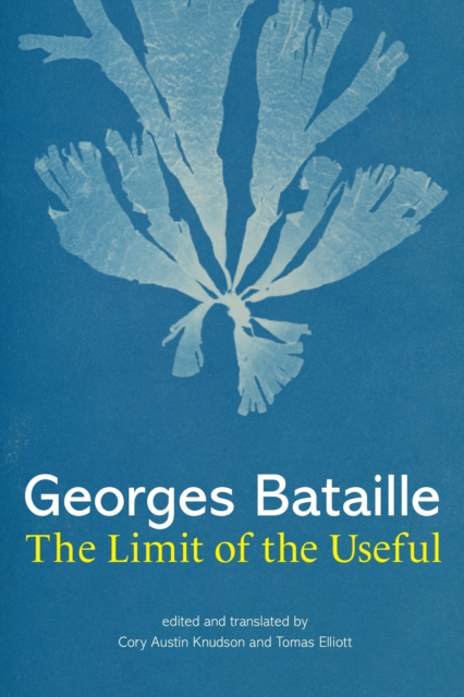 The Limit of the Useful, Hardback Book