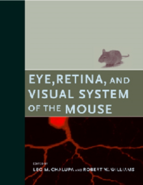 Eye, Retina, and Visual System of the Mouse, PDF eBook
