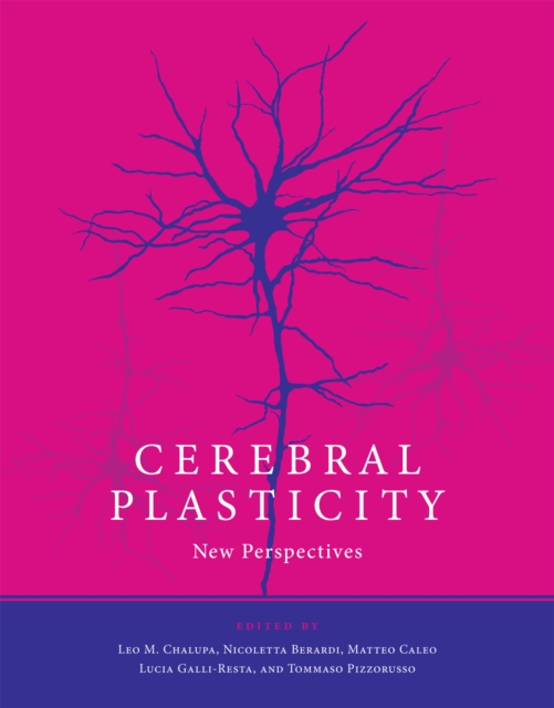 Cerebral Plasticity : New Perspectives, PDF eBook