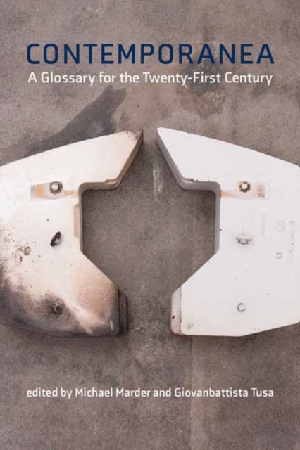 Contemporanea : A Glossary for the Twenty-First Century, Paperback / softback Book