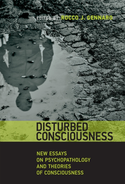Disturbed Consciousness : New Essays on Psychopathology and Theories of Consciousness, Paperback / softback Book