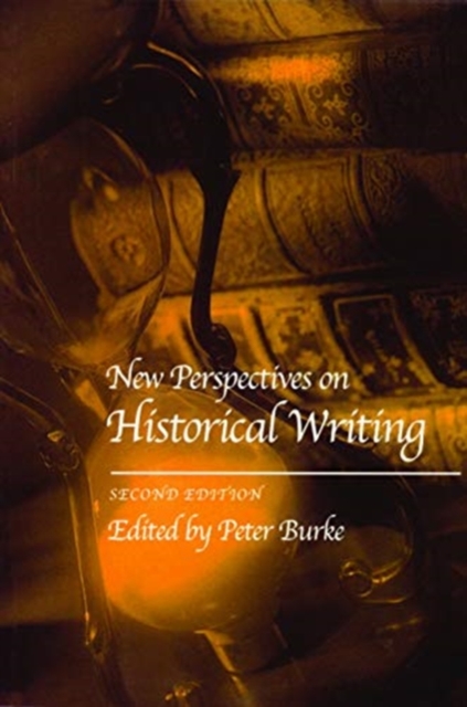 New Perspectives on Historical Writing, Paperback / softback Book