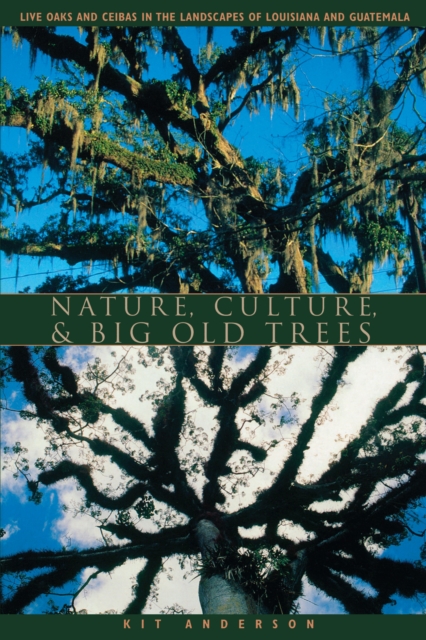 Nature, Culture, and Big Old Trees : Live Oaks and Ceibas in the Landscapes of Louisiana and Guatemala, Paperback / softback Book