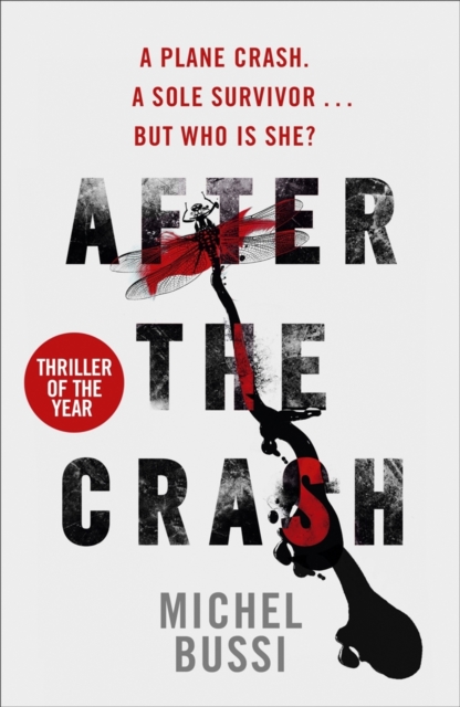 After the Crash :  I doubt I'll read a more brilliant crime novel this year' Joan Smith, Sunday Times, EPUB eBook