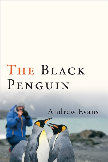 The Black Penguin, Paperback / softback Book