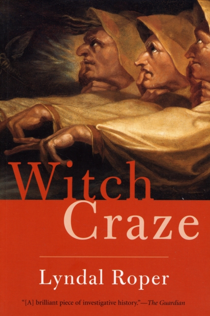 Witch Craze : Terror and Fantasy in Baroque Germany, Paperback / softback Book