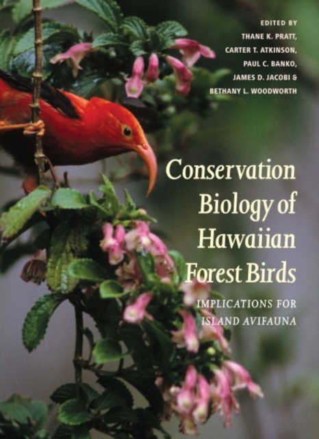 Conservation Biology of Hawaiian Forest Birds : Implications for Island Avifauna, Hardback Book