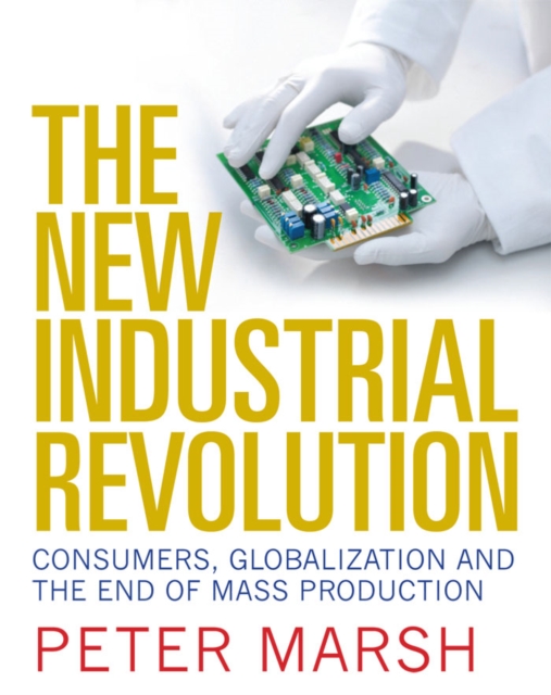 The New Industrial Revolution, EPUB eBook