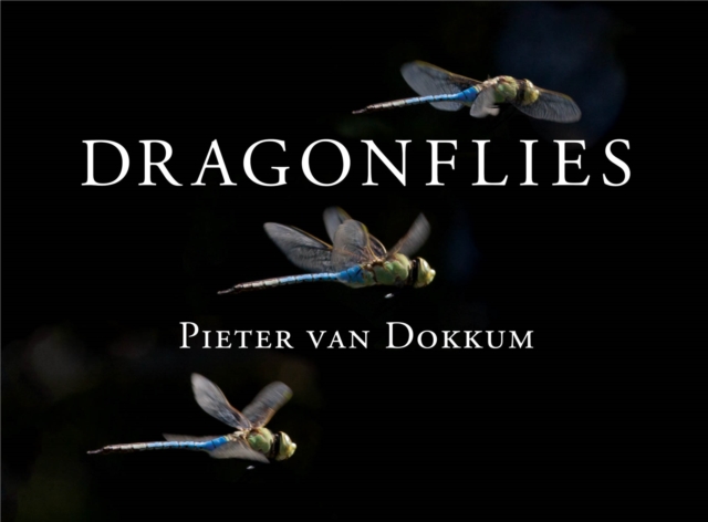 Dragonflies : Magnificent Creatures of Water, Air, and Land, PDF eBook