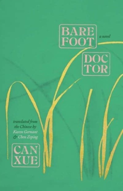 Barefoot Doctor : A Novel, Paperback / softback Book