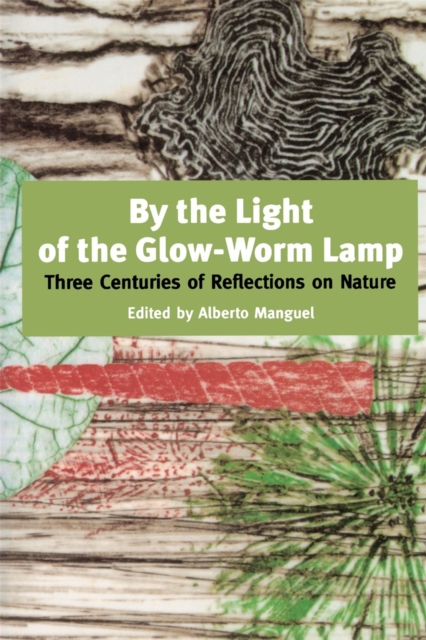 By The Light Of The Glow-worm Lamp, Paperback / softback Book