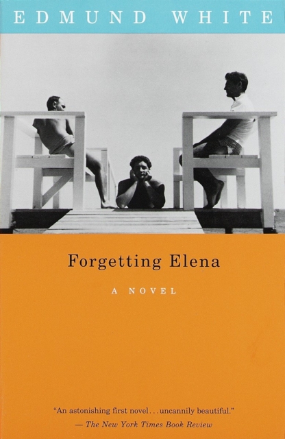 Forgetting Elena, EPUB eBook
