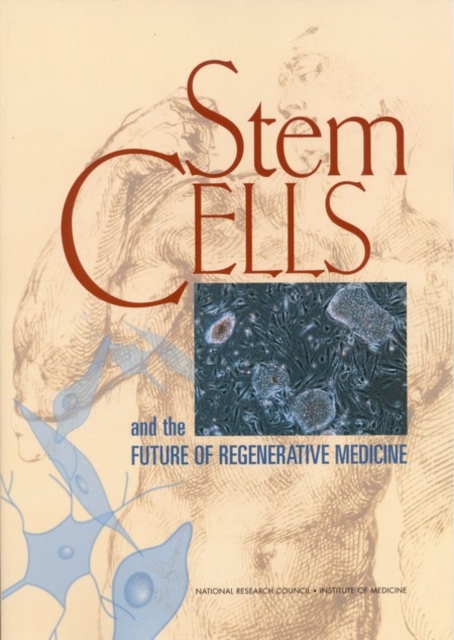 Stem Cells and the Future of Regenerative Medicine, Paperback / softback Book