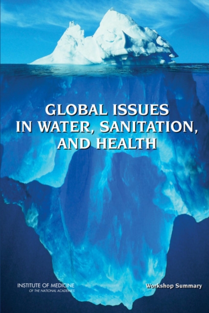 Global Issues in Water, Sanitation, and Health : Workshop Summary, Paperback / softback Book