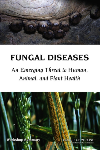 Fungal Diseases : An Emerging Threat to Human, Animal, and Plant Health: Workshop Summary, Paperback / softback Book