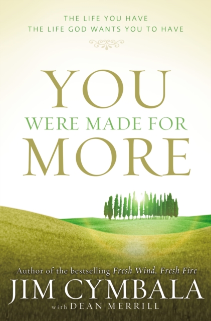 You Were Made for More : The Life You Have, the Life God Wants You to Have, Paperback Book