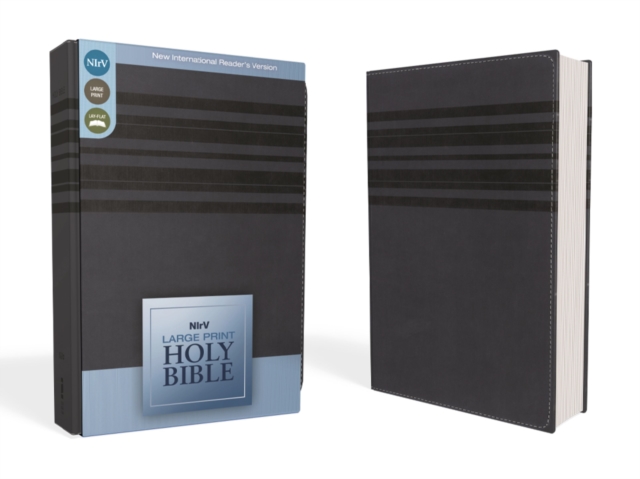 NIrV, Holy Bible, Large Print, Leathersoft, Blue, Leather / fine binding Book