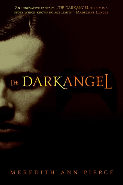 The Darkangel : Number 1 in series, Paperback / softback Book