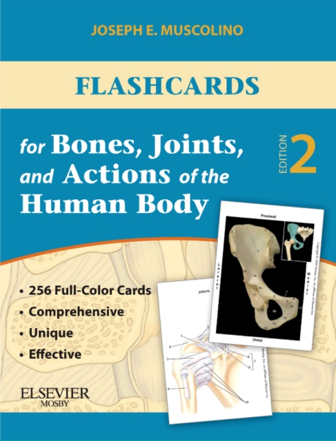 Flashcards for Bones, Joints, and Actions of the Human Body, Cards Book