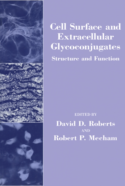 Cell Surface and Extracellular Glycoconjugates : Structure and Function, PDF eBook