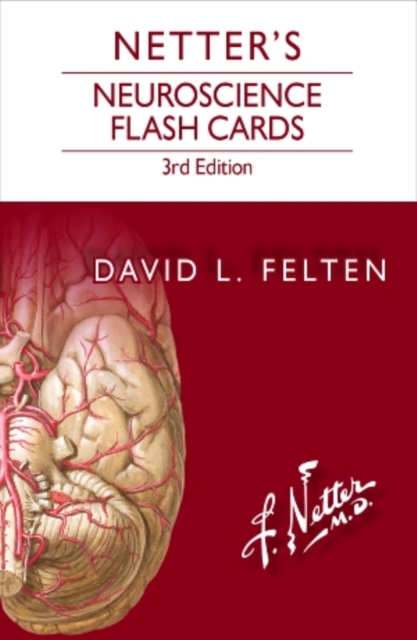 Netter's Neuroscience Flash Cards, Cards Book
