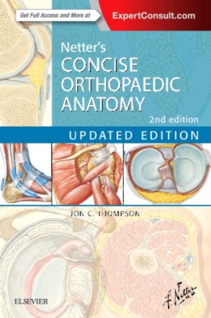 Netter's Concise Orthopaedic Anatomy, Updated Edition, Paperback / softback Book