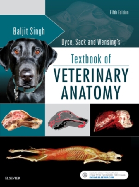 Dyce, Sack, and Wensing's Textbook of Veterinary Anatomy, Hardback Book