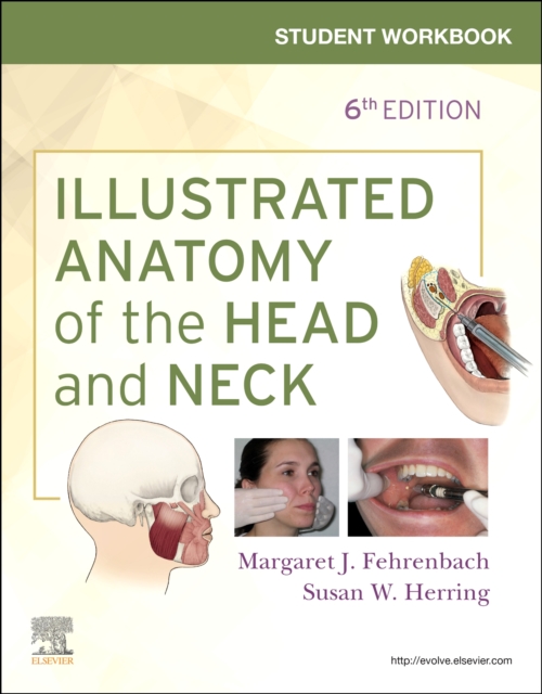 Student Workbook for Illustrated Anatomy of the Head and Neck, Paperback / softback Book