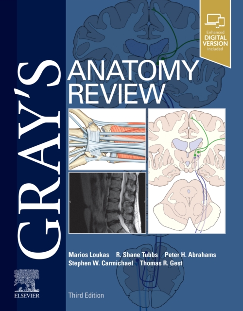 Gray's Anatomy Review, Paperback / softback Book