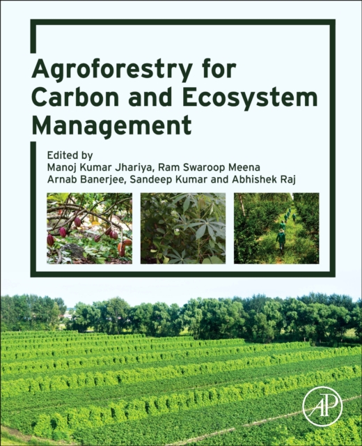 Agroforestry for Carbon and Ecosystem Management, Paperback / softback Book