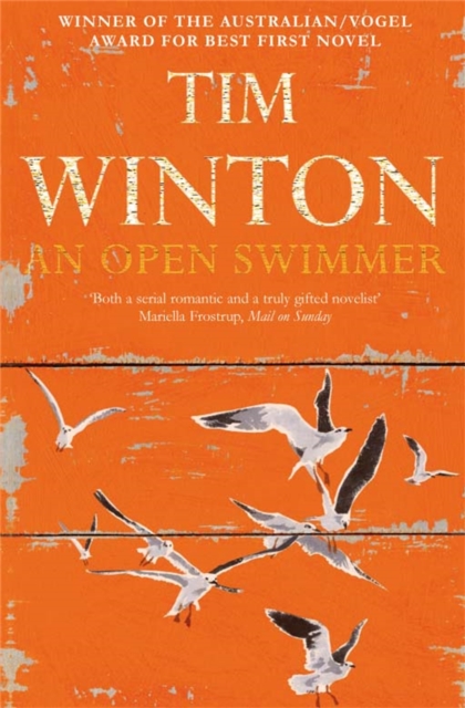 An Open Swimmer, Paperback / softback Book