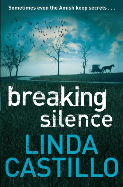 Breaking Silence, Paperback / softback Book