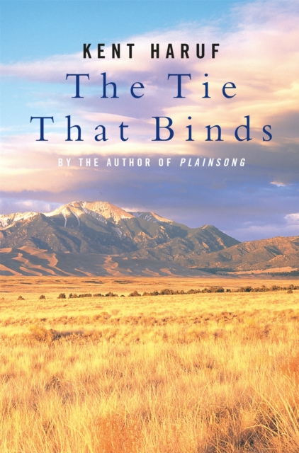 The Tie That Binds, Paperback / softback Book