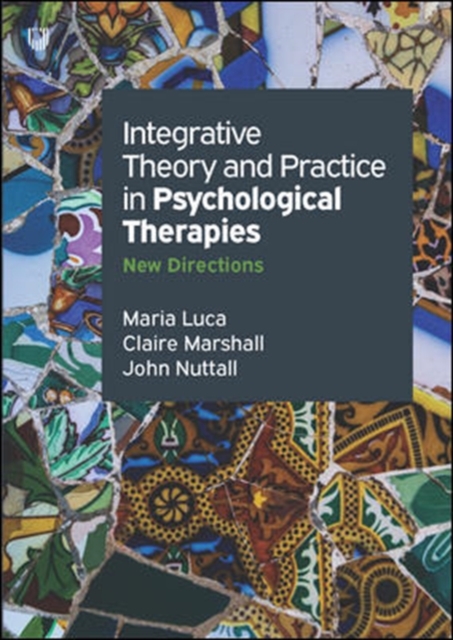 Integrative Theory And Practice In Psychological Therapies :New Directions, Paperback / softback Book