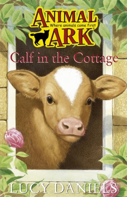 Calf in the Cottage, Paperback Book