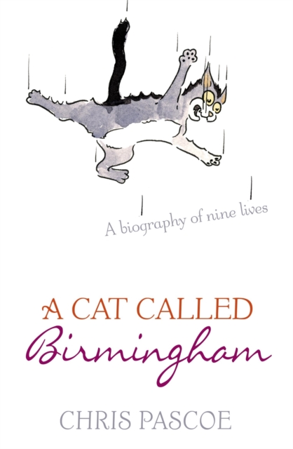 A Cat Called Birmingham, Paperback / softback Book