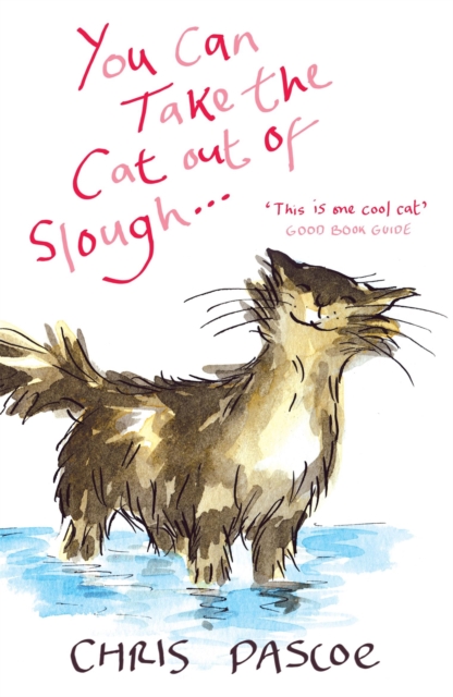 You Can Take the Cat out of Slough . . ., Paperback / softback Book