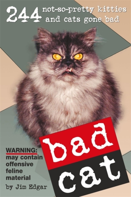 Bad Cat, Paperback / softback Book