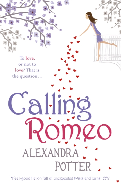 Calling Romeo : A hilarious, delightful romcom from the author of CONFESSIONS OF A FORTY-SOMETHING F##K UP!, Paperback / softback Book