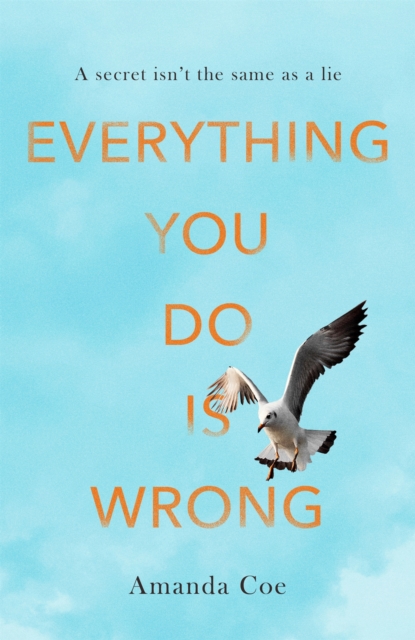 Everything You Do is Wrong, Hardback Book